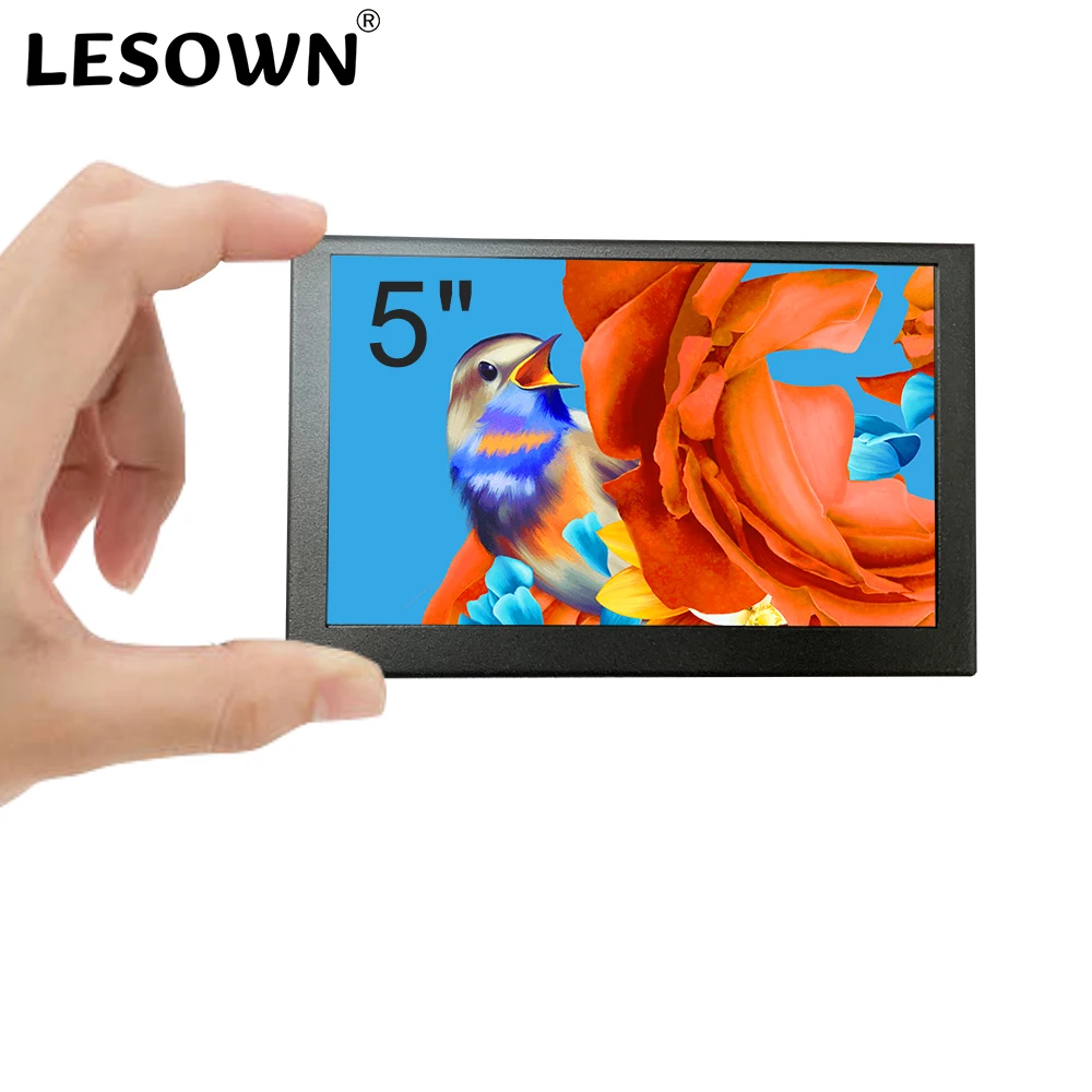 LESOWN 5 Inch Mini Monitor IPS - Retro Gaming Monitor 评论和价格